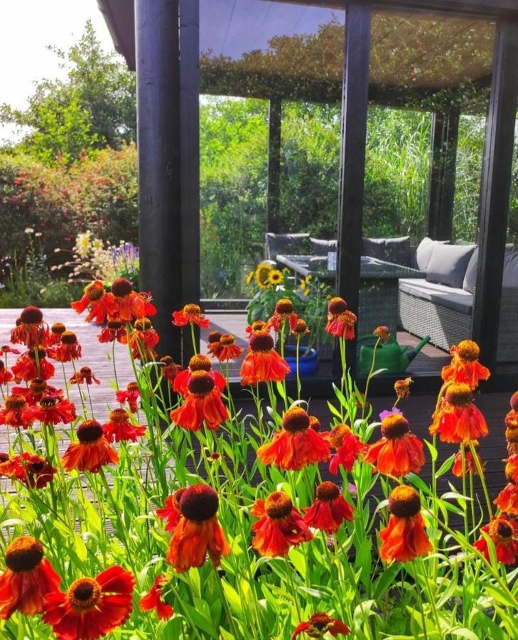 Apartments At Ballinsheen House & Gardens Лисдунварна Екстериор снимка