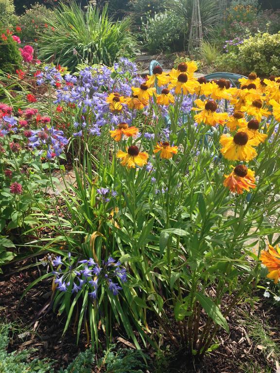 Apartments At Ballinsheen House & Gardens Лисдунварна Екстериор снимка