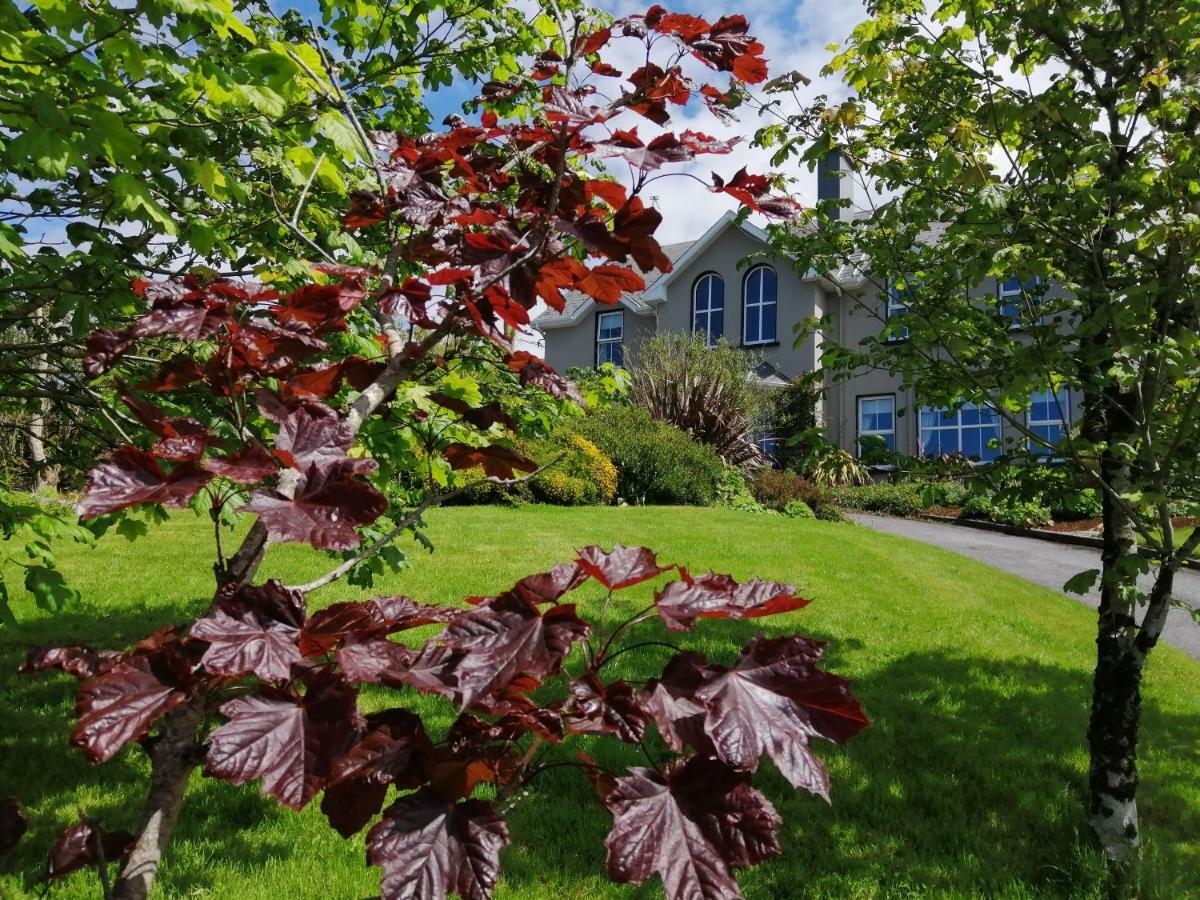 Apartments At Ballinsheen House & Gardens Лисдунварна Екстериор снимка